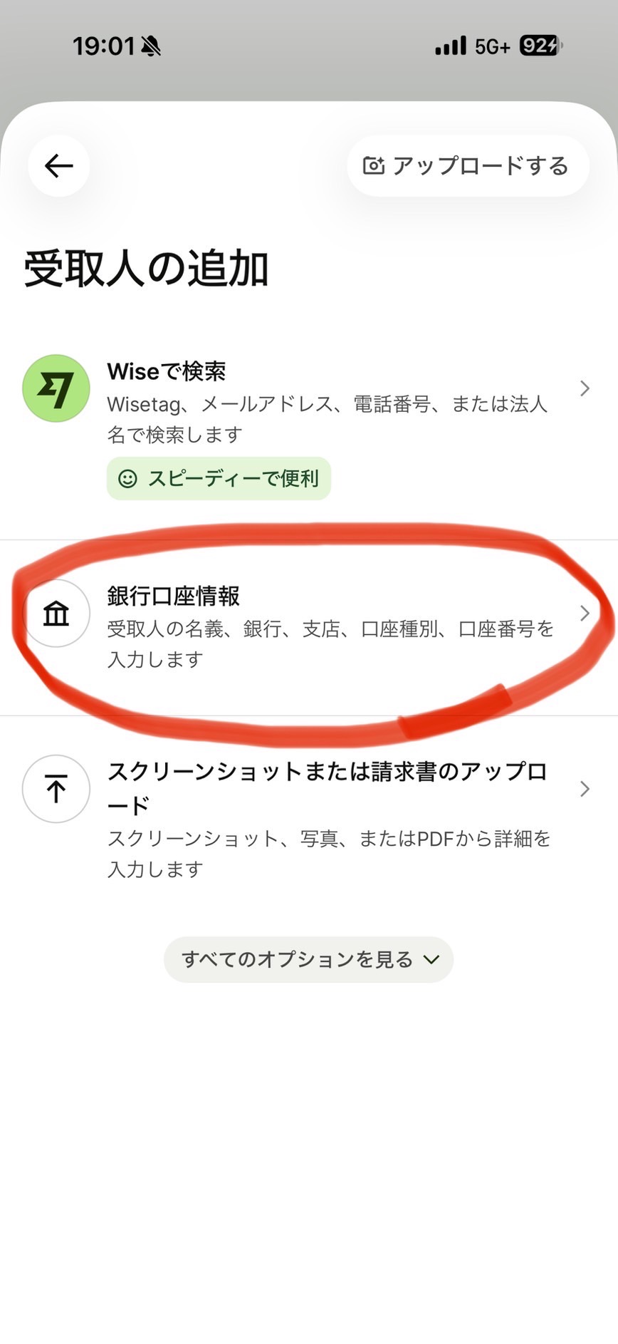 Wise payment step 4
